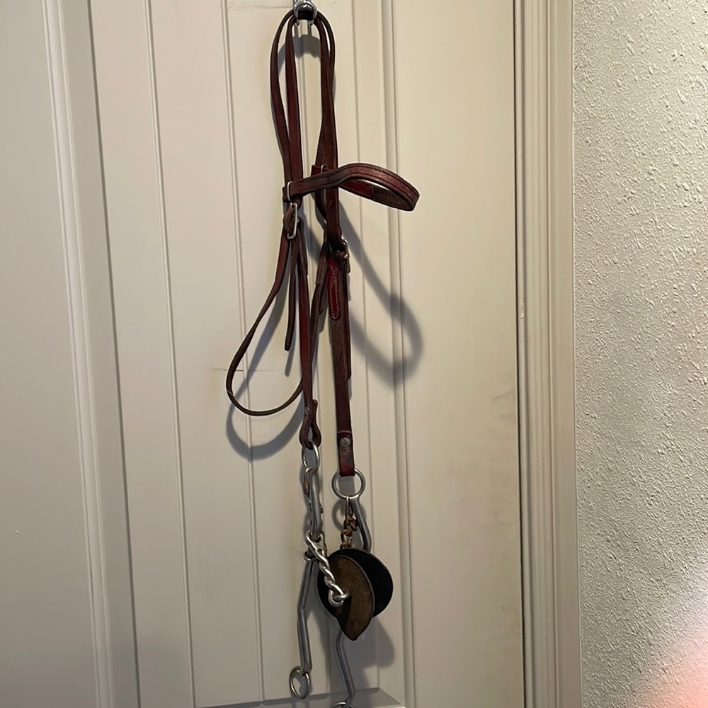 Bridle